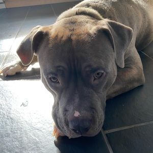 Meet your Posher, Willow